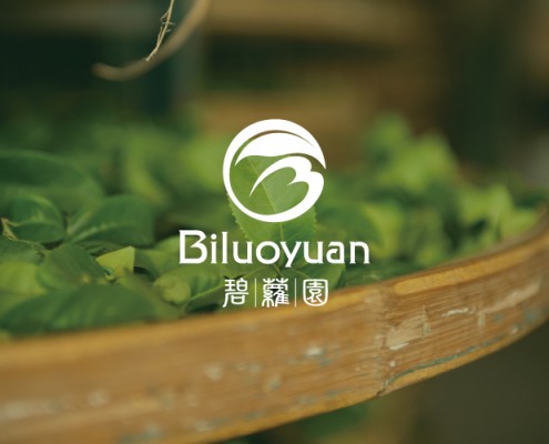 CIS設計 | 產品包裝設計 | 產品平面設計