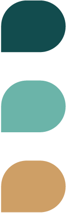 茶與山丘系統色