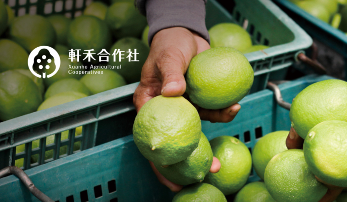 軒禾fb 企業品牌設計 | 品牌設計 | 農產品牌設計 | 農業識別設計