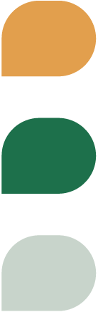 軒禾合作社系統色