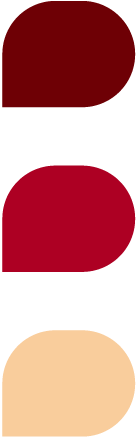 黎紀冰糖醬鴨系統色